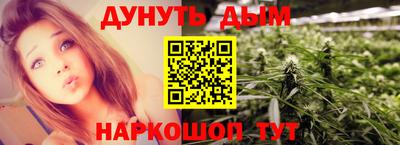 шишки Будённовск