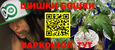 шишки Будённовск