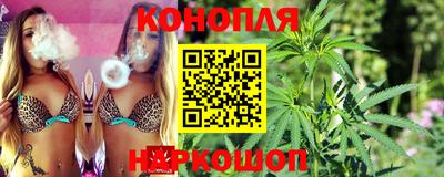 шишки Будённовск